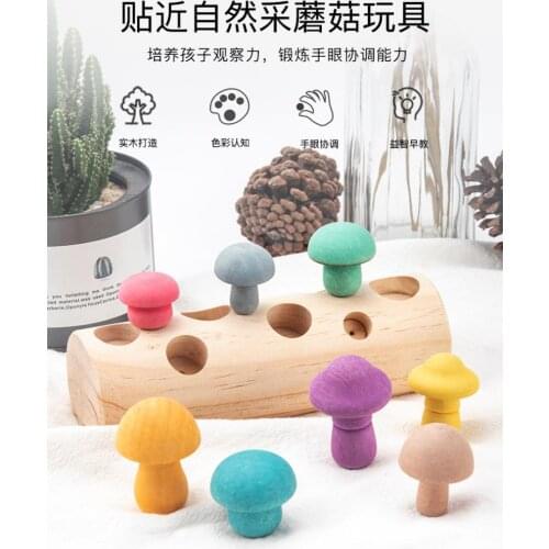 Wooden Rainbow Blocks Mushroom Picking Game Montessori Educational Wooden Baby Toys Developmental Shape Matching Assembly Grasp