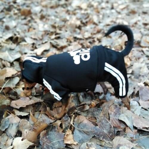 4Legs Outfit Pet Clothes Puppy Dog Costume Cat Jumpsuit Poodle Chihuahua Bulldog Pug Pets Dogs Clothing for Small Medium Puppies