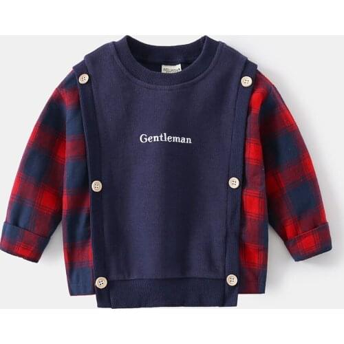 Hollead Sweatshirts For Boys