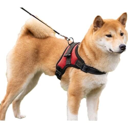 Dog collar Large Dog Harness Glowing Led Collar Puppy Lead Pets Vest Dog Leads Accessories Pet Products Golden Retriever