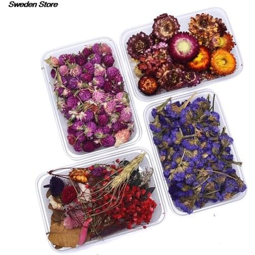 1 Box Real Mix Dried Flowers for Resin Jewellery Dry Plants Pressed Flowers Making Craft DIY Accessories