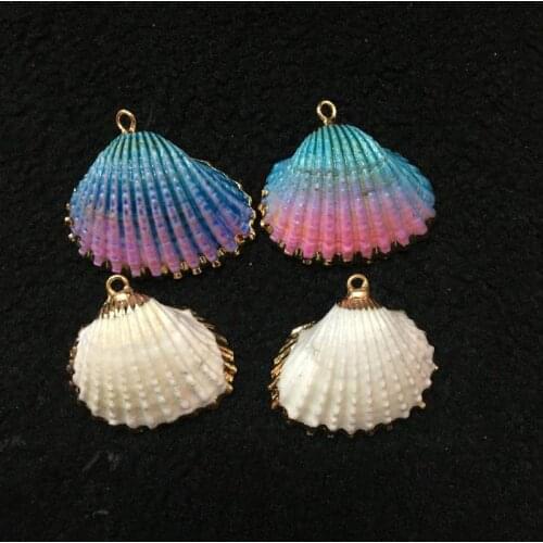 White color natural shell conch shells and starfish micro landscape DIY wholesale jewelry accessories material drift bottles