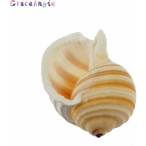GraceAngie Natural Shell Conch Stripe Shape Shell Jewelry Accessories DIY Beach Beach Party Decoration Crafts