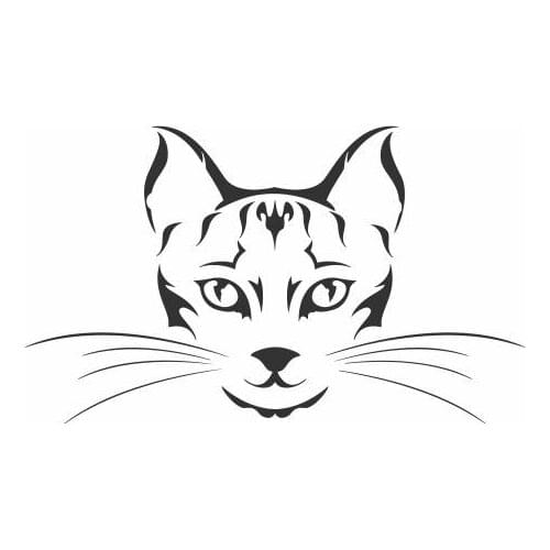 Cat Staring At The Cat With Big Eyes Vinyl Car Decals Car Head Unique Hot Selling FA676
