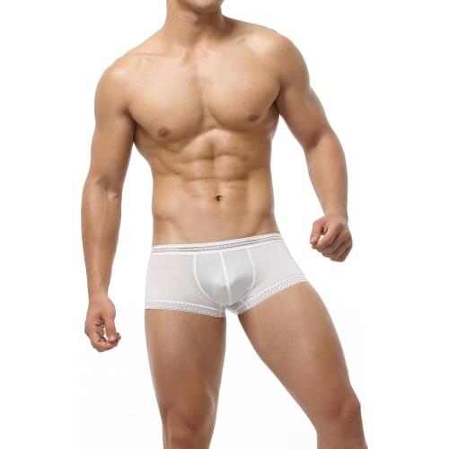 Lace Sexy Men Ice Silk Underwear Boxer Shorts Transparent Panties Ultra Thin Soft Elastic Underpants Boxers Breathable hombre