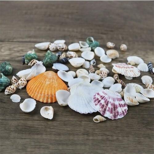 100grams/pack Natural Shell 1-7cm Natural Conch Shell Mini Conch Corn Screw Wall Decoration DIY Epoxy Resin Mold Jewelry Filling