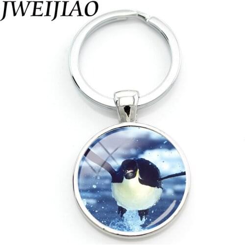 JWEIJIAO Animal Keychain The season 2 The Bule Planet Documentary Largest Shark,Blue Whale,Turtle Keyring Key Chain OC29