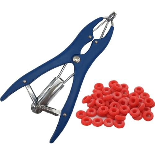 500 Pcs Piglet Cow Sheep Castration rings Rubber ring castration Equipment wholesale farm animals