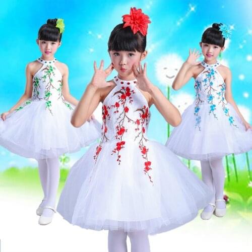 Childrens jazz dance Latin dance costumes pettiskirt princess skirt kindergarten host chorus recitation performance clothes