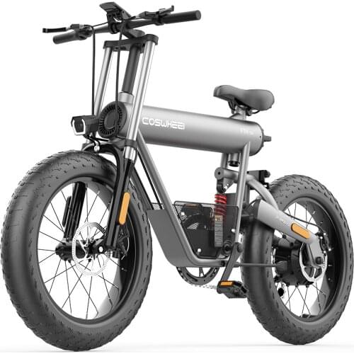 Coswheel Electric Bike 20Ah Battery20"x 4.0 FatTire Aluminium Alloy 48V 500W Motor 7 Speed Mountain Electric Bicycle 45Kmh