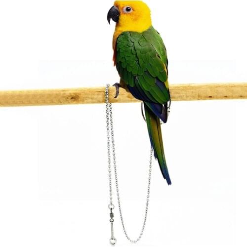 1 Pcs Pet Parrot Leg Ring Ankle Foot Chain Bird Ring Outdoor Flying Training Activity Opening Stand Accessories Bird Supplies