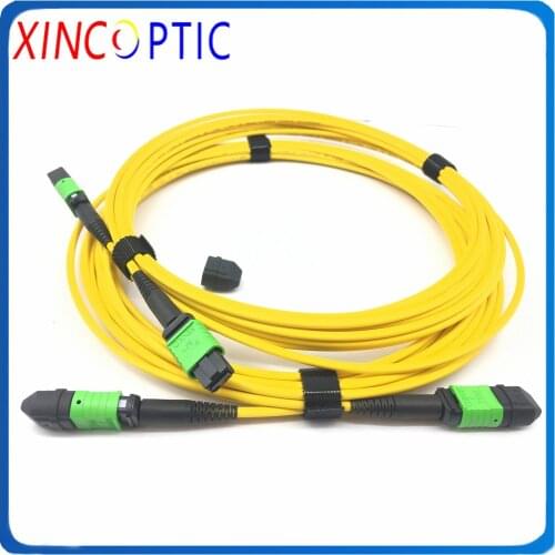 1/2/3/5/7/10/15/20M 24C MPO Female to MPO F 24Strands Type C OS2 9/125 Single Mode Trunk Fiber Optic Patch Cord Yellow Cable