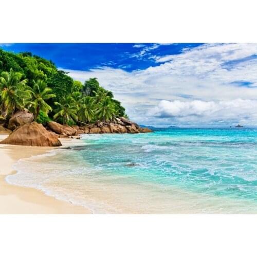 Summer Tropical Sea Seaside Palm Tree Islands Sky Cloud Scenery Nature Backdrop Vinyl Photography Background For Photo Studio