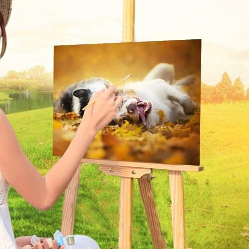 Animal Border Collie Painting By Numbers Kit Oil Paints 40*50 Canvas Painting Home Decoration Crafts For Wholesale