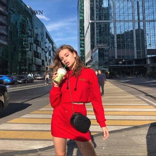 Solid Women Two Piece Outfits Skirt and Long Sleeve Hooded Sweatshirt Set 2019 Autumn Winter Fashion Casual Dress Matching Sets