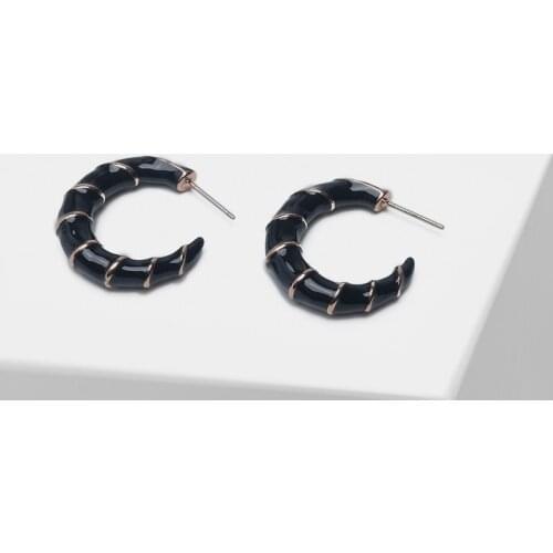 G6-Amorita boutique Horn design simplicity metal drop earrings