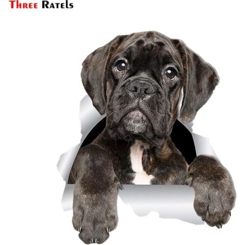 Three Ratels FTC-1066 Adorable 3D Boxer Dog Sticker Car Sticker Decals For Toilet Refrigerator Kitchen Kids Room Bedroom Door