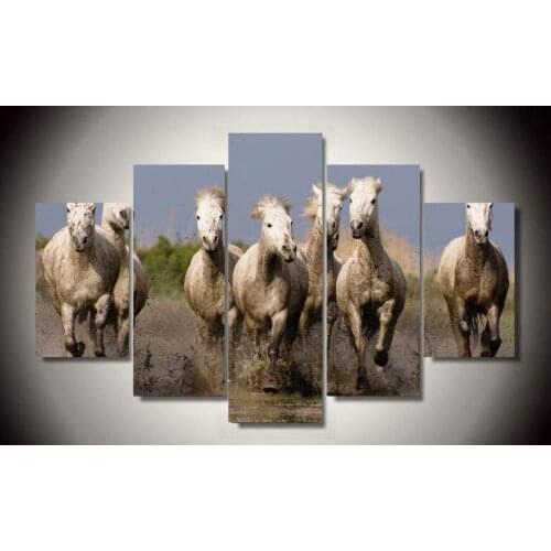 HD Print 5 Pcs canvas art horse painting modern home decor wall art picture living room decor print Painting on canvas/PT0347