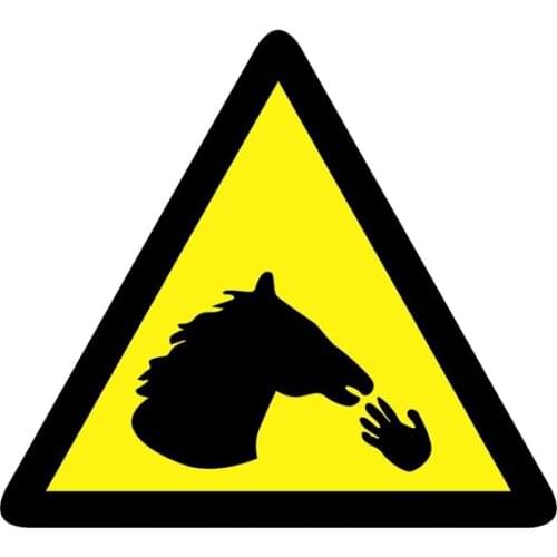 Lovely Caution Do Not Feed Fingers To The Horse KK Reflective Car Sticker Waterproof Laser Decal Pvc 13.8CM X 12.4CM