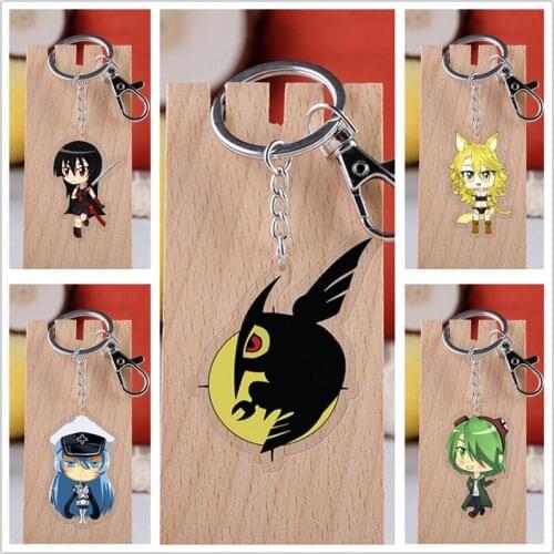 10 pcs Anime Akame ga KILL Acrylic Keychain Toy Figure Leone Lubbock Sheele Bag Pendant Double sided Key Ring toy