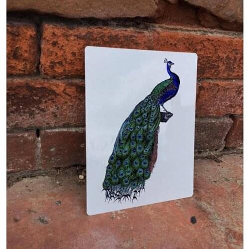 Peacock Bird Animal Metal TIN SIGN Wall Plaque Bar Home Decor