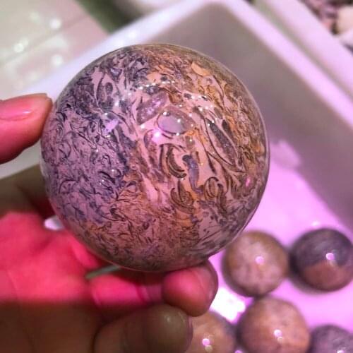 Dinosaur Bone Fossil Ball Natural Fossil Stone Sphere Smooth Polished Pebble Reiki Healing Chakra Stone Home Decoration