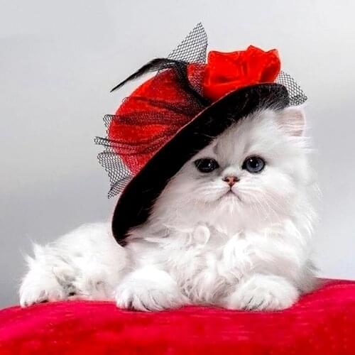 Full Drill Square Diamond 5D DIY Diamond Painting "Cat In Red Hat" Diamond Embroidery Cross Stitch Rhinestone Mosaic Painting