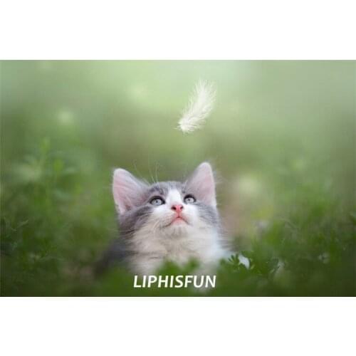 LIPHISFUN Diamond Painting Embroidery Full Drill Home Decor Square/round Cross Stitch DIY Animal Cute Cat