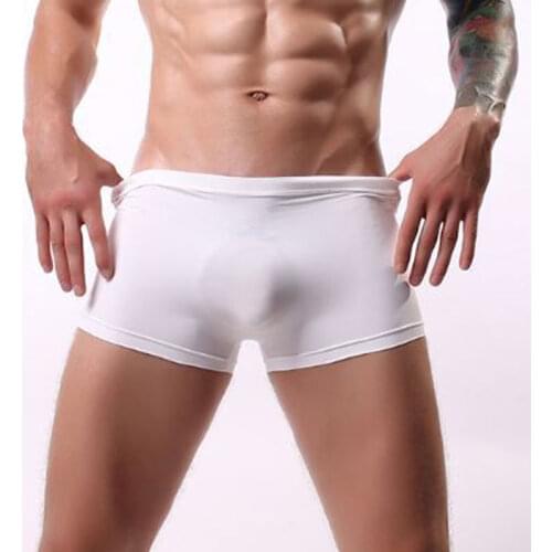 Sexy Ice Silk Shiny Transparen Boxers Seamless Smooth Breathable U Convex Pouch Boxer Underwear Gay Wear Shorts Plus Size F6