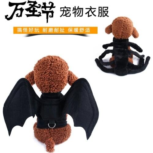 All saints pet Halloween turns 20121 pet the cat dog costume bat wings