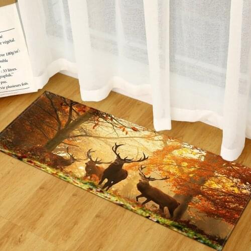 Modern Kitchen Mat Bedroom Entrance Doormat Scenic Pattern 3D Print Home Hallway Floor Living Room Carpet Bathroom Anti-Slip Rug