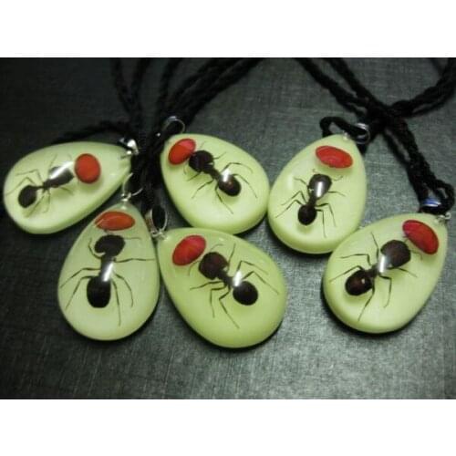 FREE SHIPPING 12 pcs Real Insects Ant Glow in the dark Pendant Resin birthday souvenir gifts