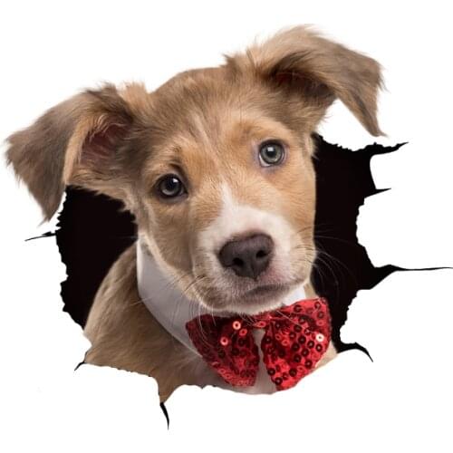 Three Ratels 3D hound Dog Stickers Super Staffie decal on Wall Fridge Toilet car bike