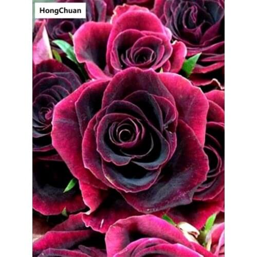 Fast delivery pink rose 5D DIY square/round diamond painting mosaic cross stitch home decoration mural Christmas gift