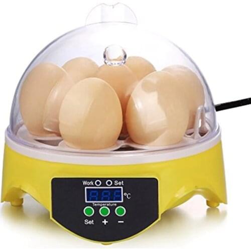 Mini 7 Egg Incubator Poultry Incubator Brooder Digital Temperature Control Egg Incubator Hatcher Bird Egg Hatchers Incubator