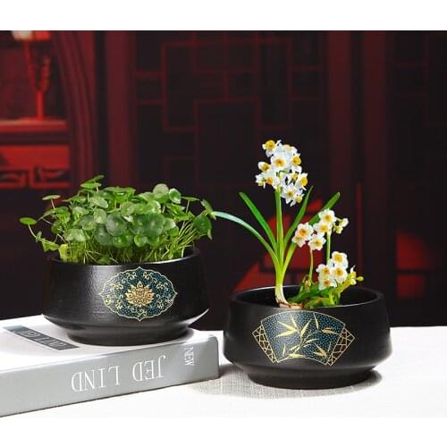 Copper Money Grass Special Green Dill Hydroponic Flowerpot Ceramic Creative Personality Non-Porous Aquatic Plant Daffodil
