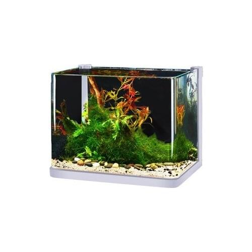 Household Goldfish Fighting Fish Glass Small And Medium Fish Tank Living Room Balcony Desktop Hot Curved Transparent Landscaping