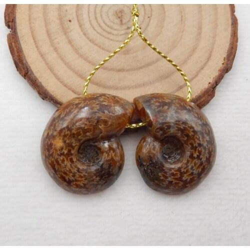 On Sale,Natural Gemstone Aommonite fossil Earrings Bead,Fashion Jewelry,Birthday gift,28x23x3mm13.3g