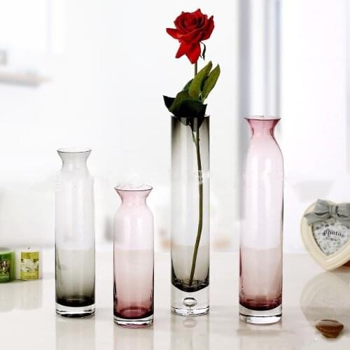 Multicolor Glass Vase Home Small Slim Hydroponic Plant Glass Bottles Living Room Decoration Dried Flower Transparent Flower Vase