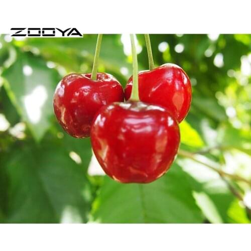 Needlework Diamond Embroidery Fruits Cherry Diy Diamond Painting Cross Stitch Pictures Of Rhinestones Full Drill Diamond F664