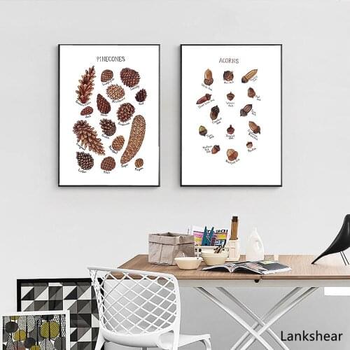Pine Cones and Acorns Field Guide Painting Art Print Nature Poster and Prints on The Wall for The Living Room Home Decor Unframe