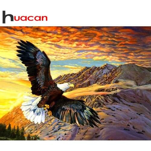 Huacan Full Diamond Embroidery Eagle 5D DIY Diamond Painting Animals Mosaic Cross Stitch Modular Pictures Decorative Paintings