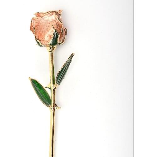 Plating Flower Roses 24K Gold Dipped Real Rose Plated Flower Golden Birthday Gift Wedding Decor Valentines Day