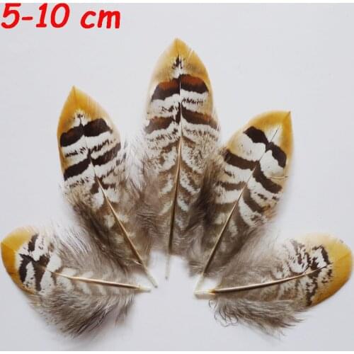Wholesale 20Pcs 5-10cm Natural Fly Tying Pheasant Chicken Feathers For DIY Crafts Mask Hat Jewelry Accessories Making Decoration