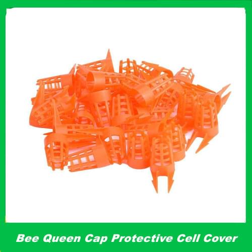 30Pcs Bee Queen Cages Protective Cover Plastic Honeycomb Cages Cell Protection Cap Beekeeping Beekeepers Breeding Supplies