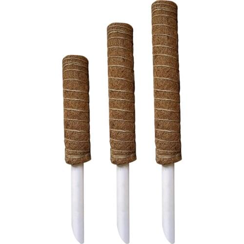 304050cm Natural Coconut Palm Stick Plant Climbing Frame Home Garden Balcony Creeper Support Frame Greenhouse Flower Manner