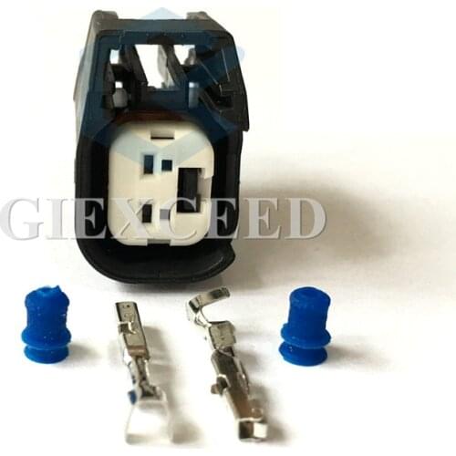 2 Sets 2 Pin 15419715 EV6 LS2 3 ID-1000 Injector Female Automotive Connector Socket For Car