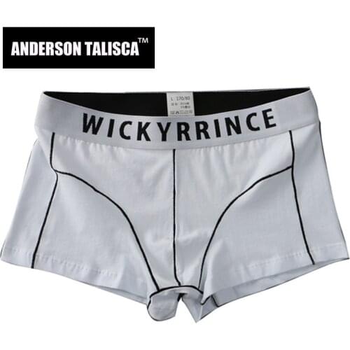 ANDERSON TALISCA New Underwear Men Boxer Thin Cotton Para Hombre Man Penis Mens Boxers Cuecas Masculina Boxershorts Homme M-3XL