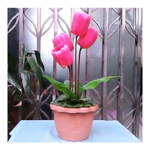 The Living Tulip / Stage Flower Magic Trick,Stage Magic Props, Classic Toys,Illusion,Party Trick,Fun,Super Effect,Magia Toys