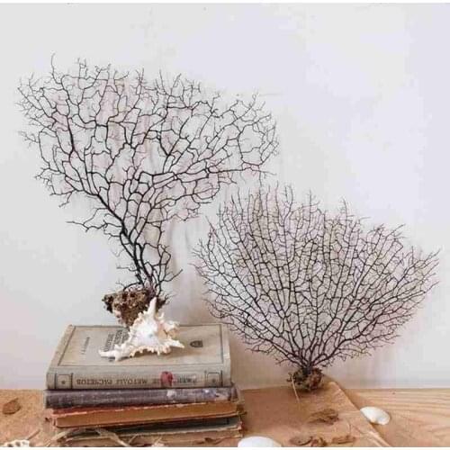 Natural Conch Shell Sea Willow Sea Iron Tree Coral Branches Red Willow Aquarium Fish Tank Microlandscape Decoration